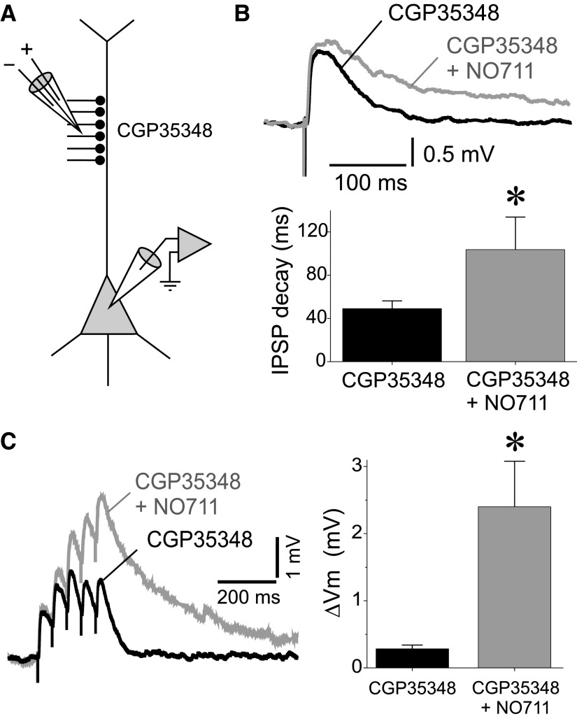 FIG. 6.