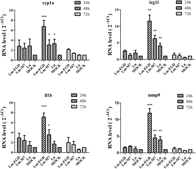 FIGURE 2