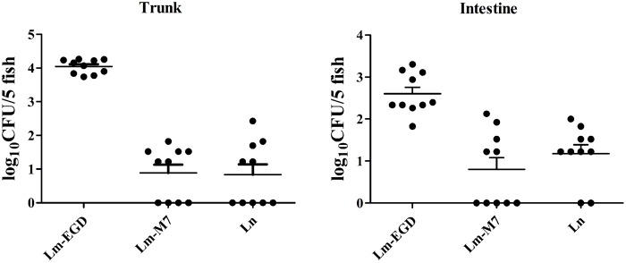 FIGURE 3