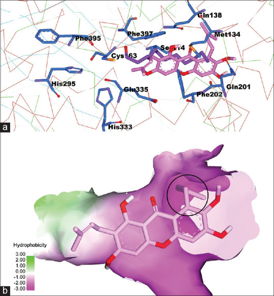 Figure 4