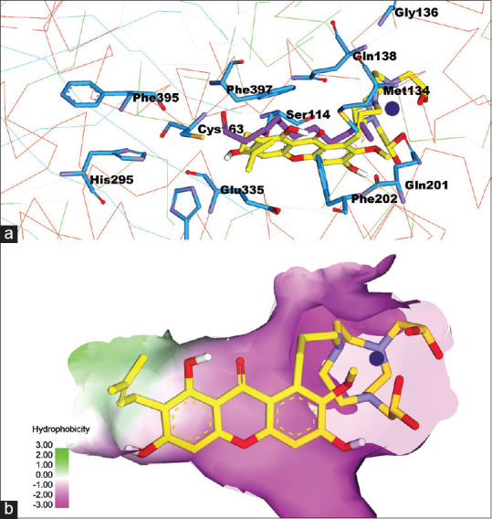 Figure 5