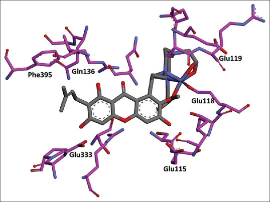 Figure 11