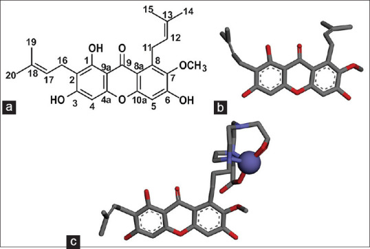 Figure 3