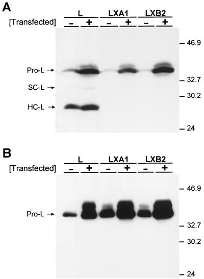 FIG. 9