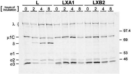 FIG. 6