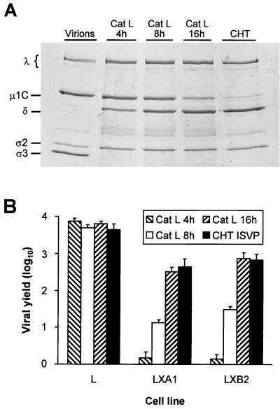 FIG. 10