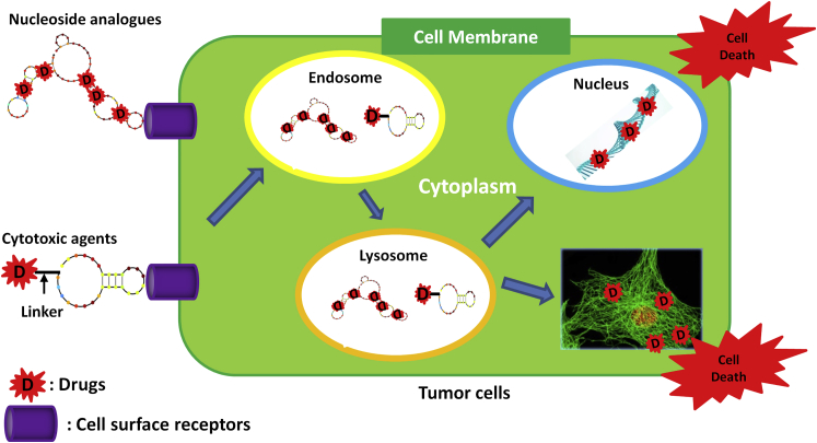 Figure 5