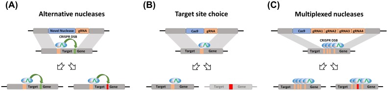 Figure 6.