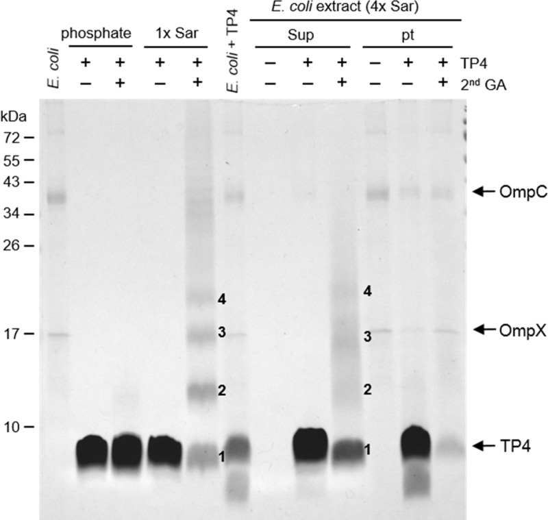 Fig 10