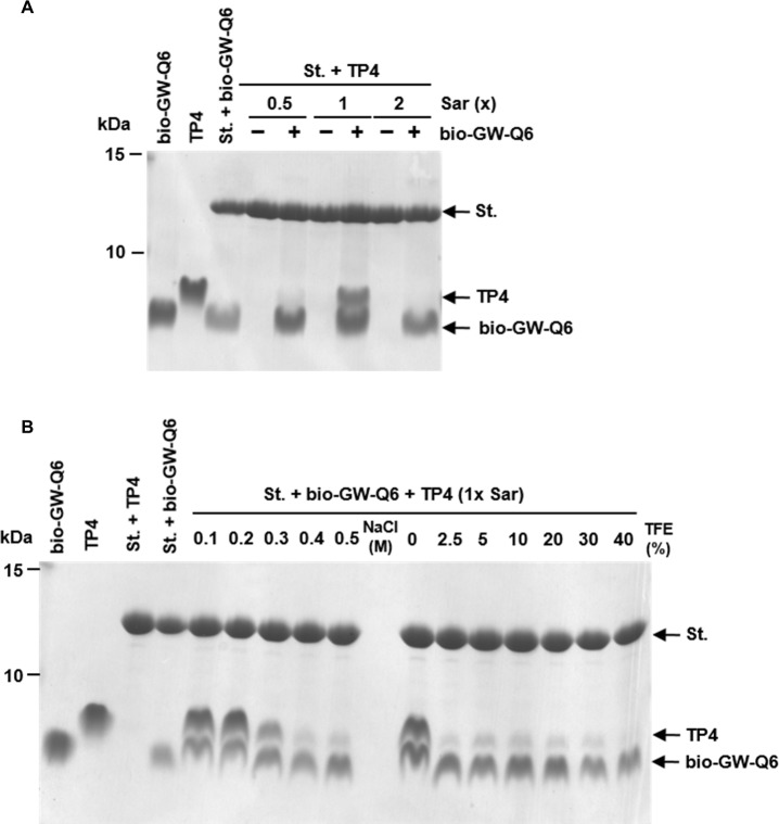 Fig 6