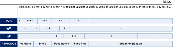 Figura 2