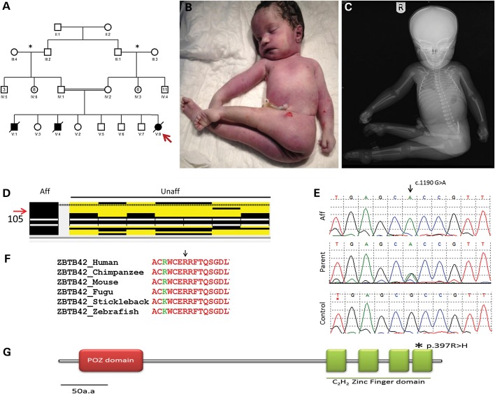 Figure 1.