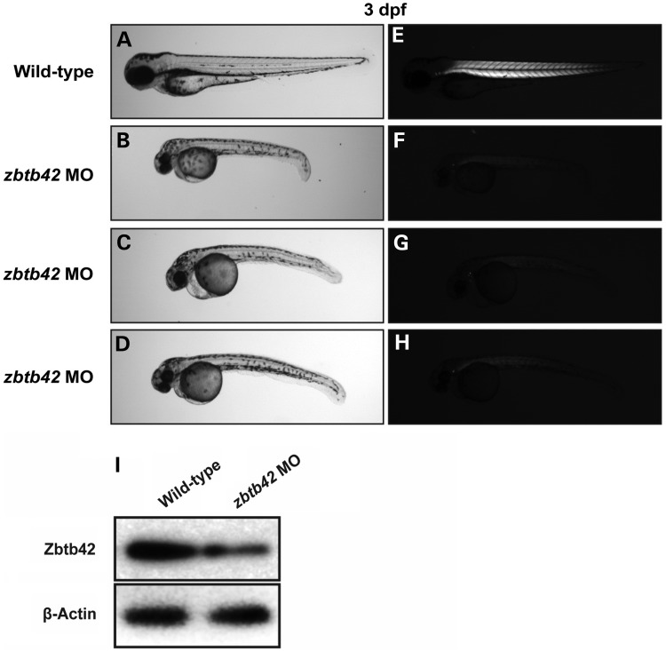 Figure 2.