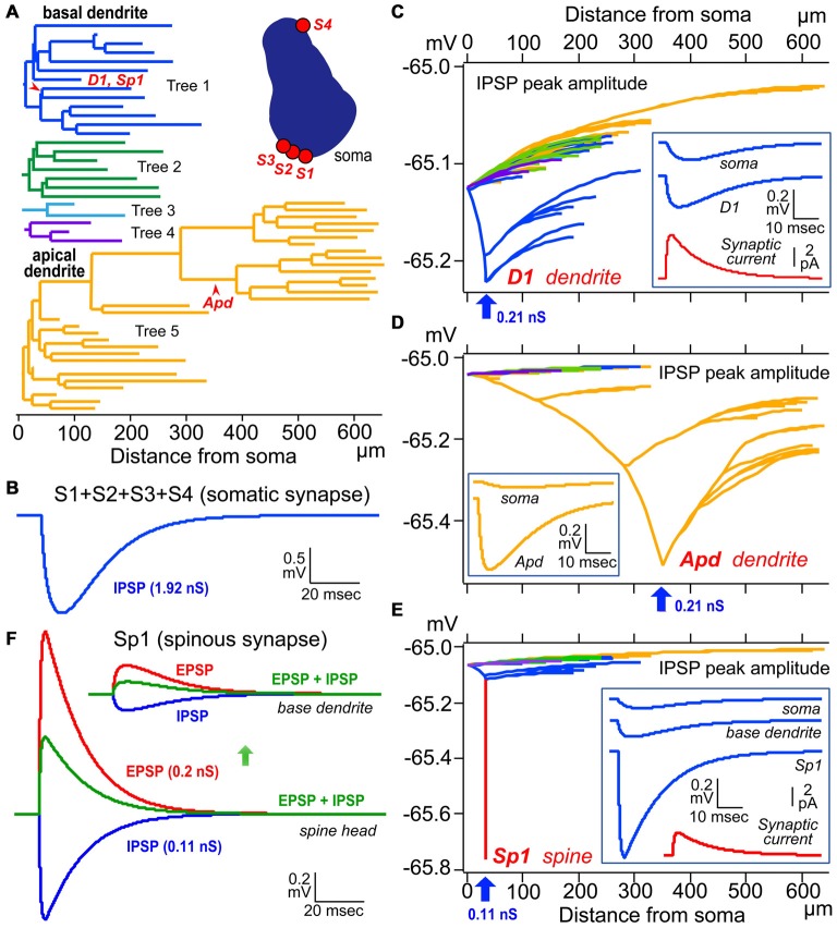 Figure 6