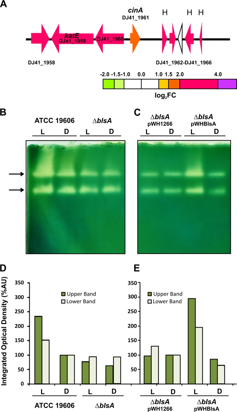 FIG 6