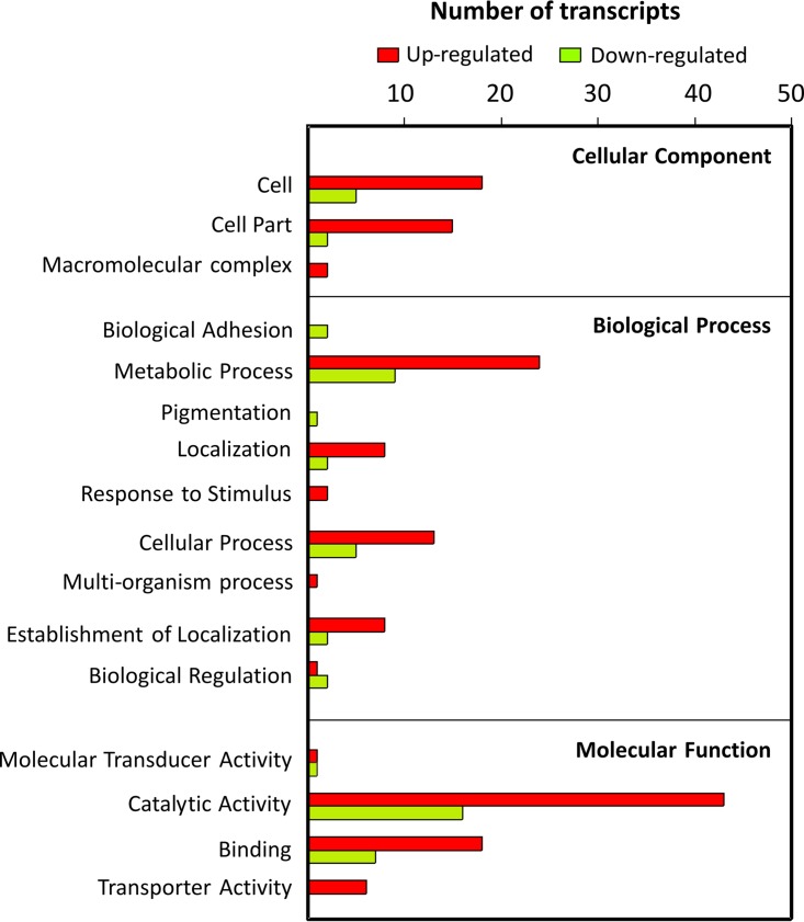 FIG 1