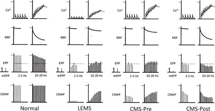 Fig.2