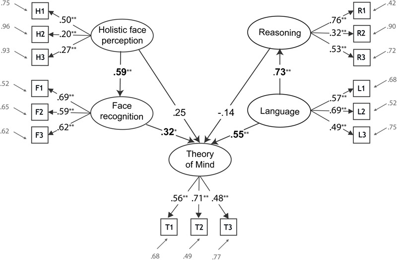 FIGURE 1