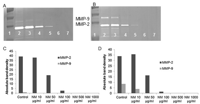 Figure 5.