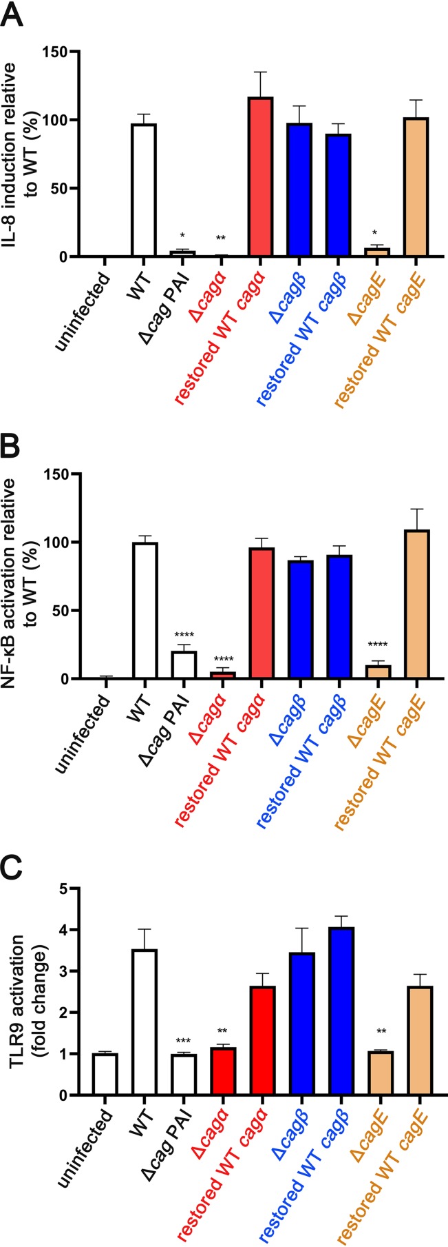 FIG 3