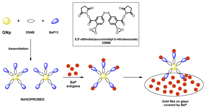 Figure 12