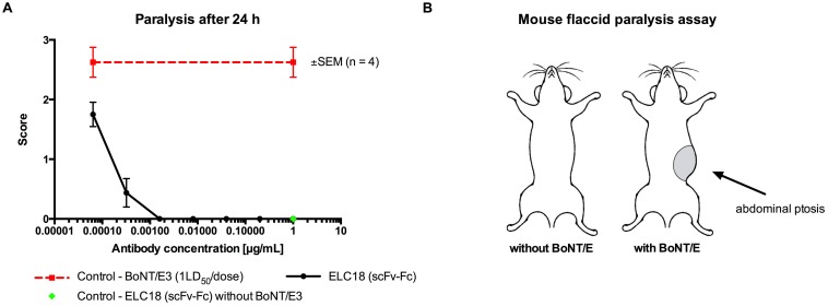 Fig 5