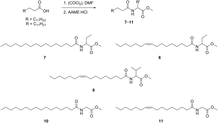 Scheme 2