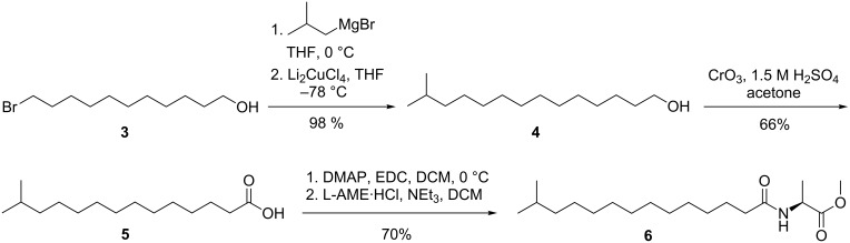 Scheme 1