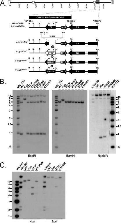 FIG. 1.