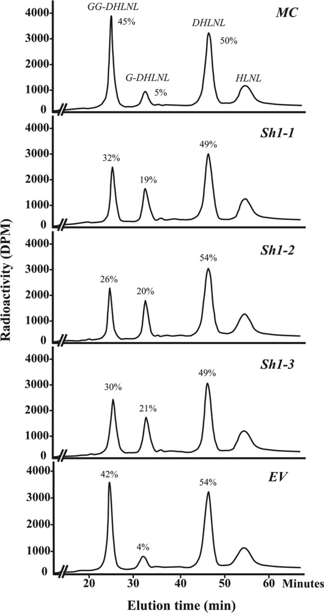 FIGURE 3.