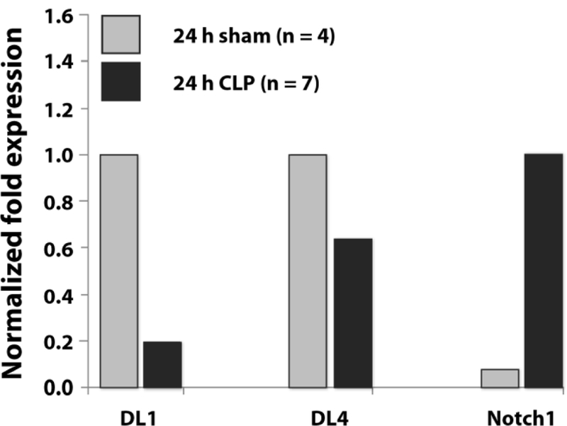 Fig. 12: