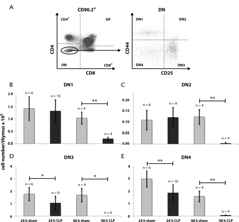 Fig. 3: