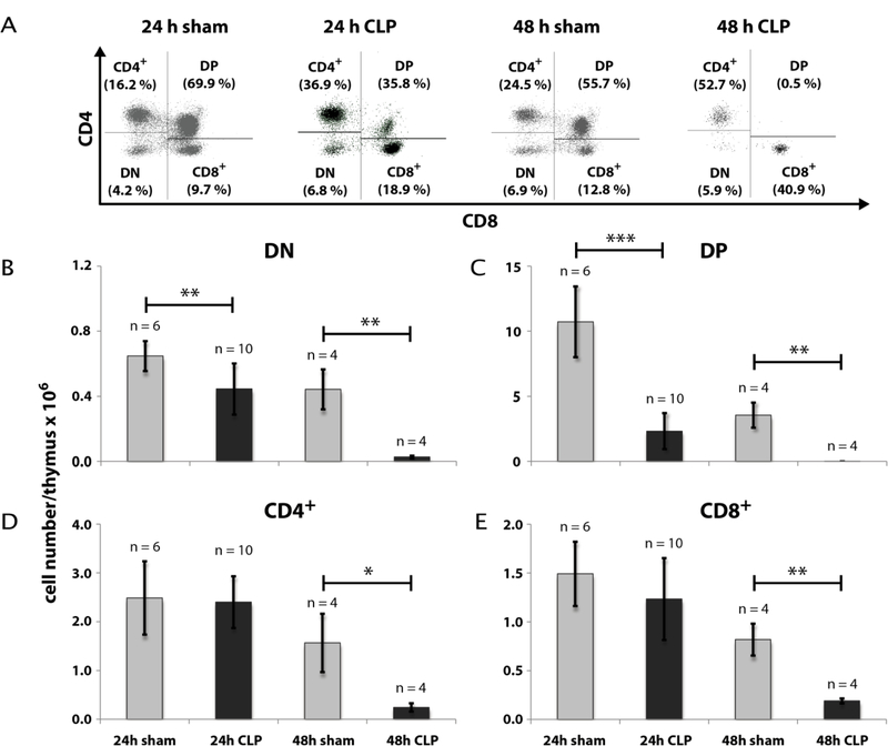 Fig. 2: