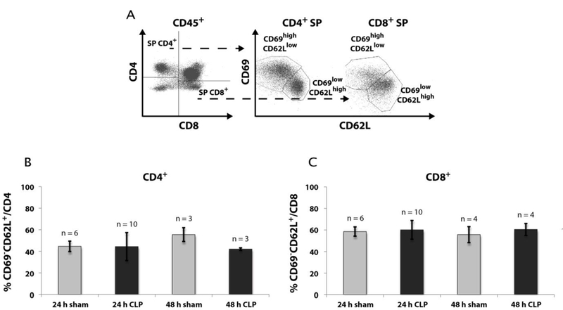 Fig. 7: