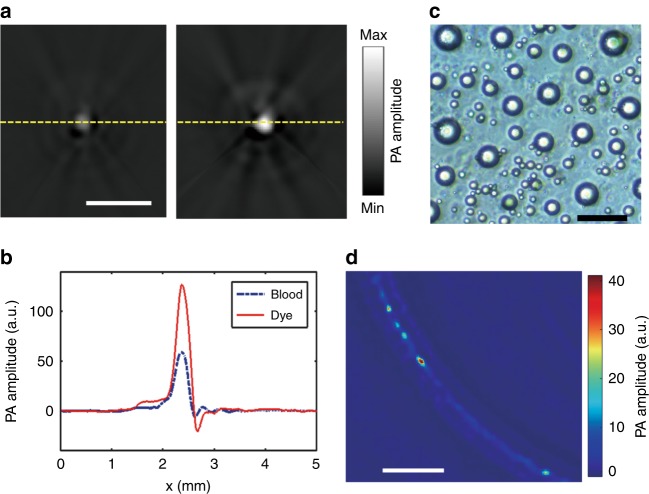 Fig. 2