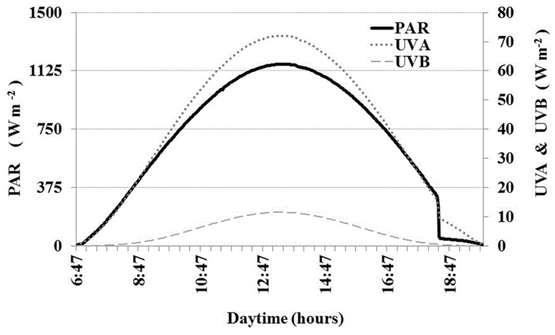 FIGURE 2