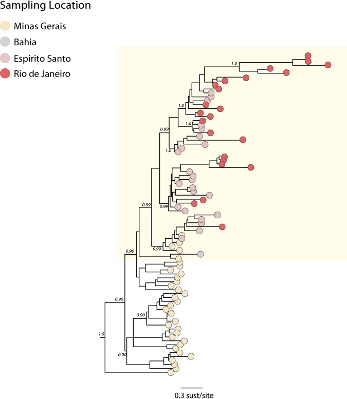 FIG 4