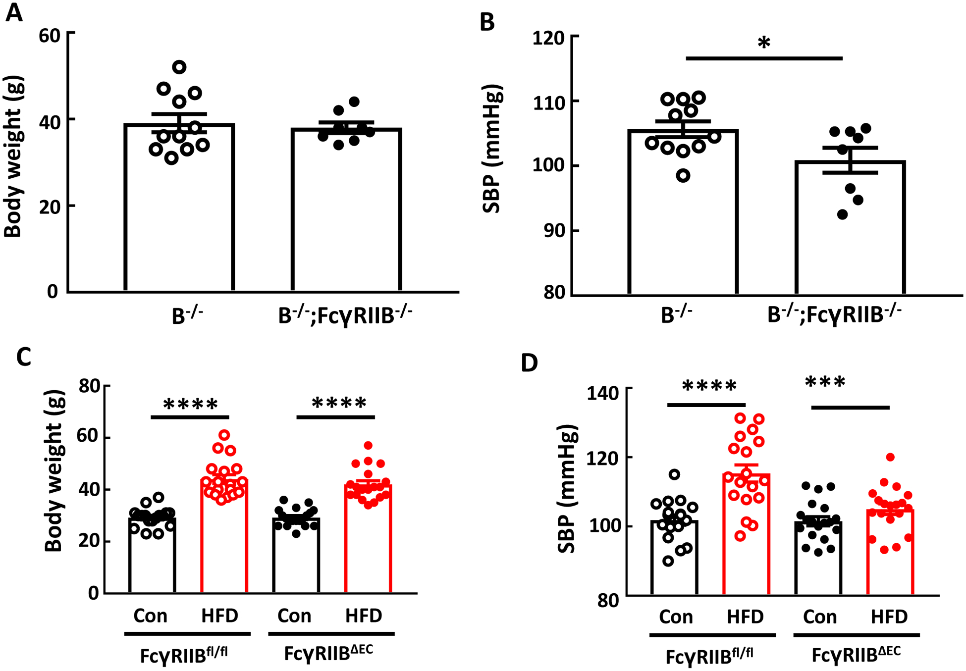 Figure 6: