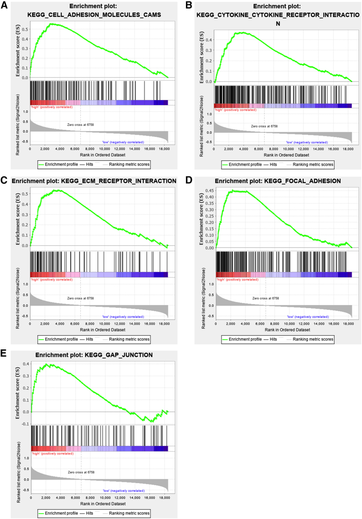 Figure 3