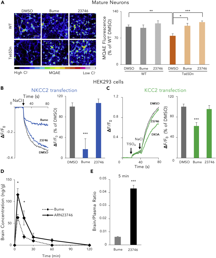 Figure 2