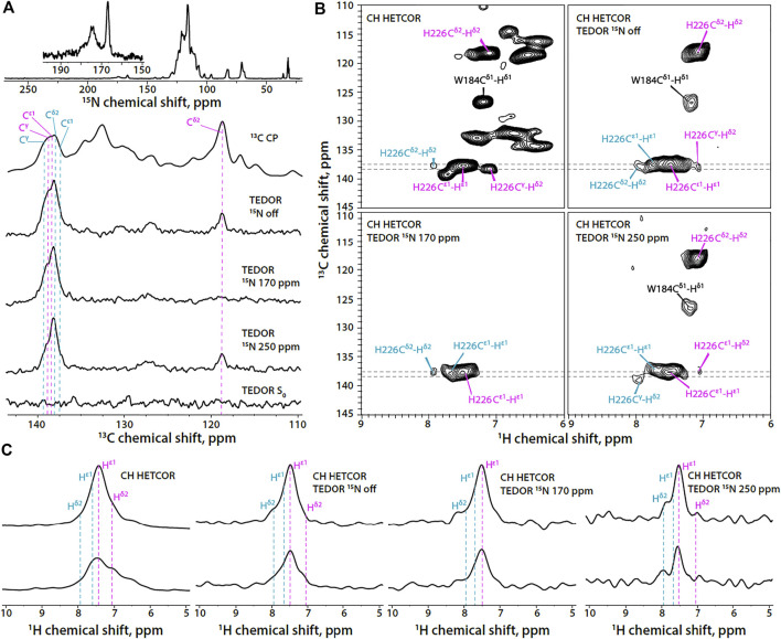 FIGURE 3