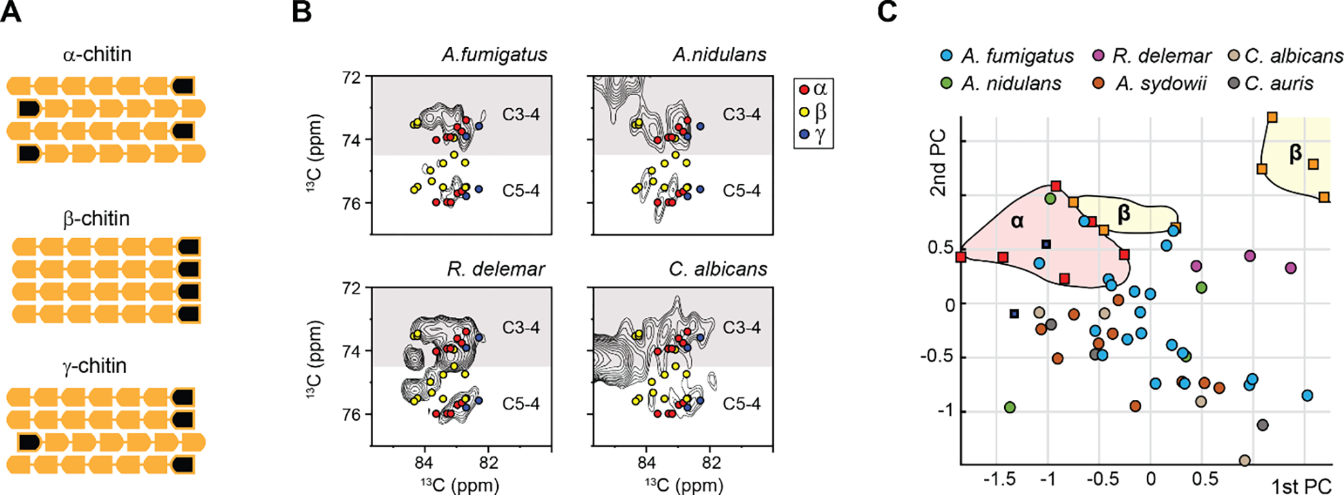 Figure 13.