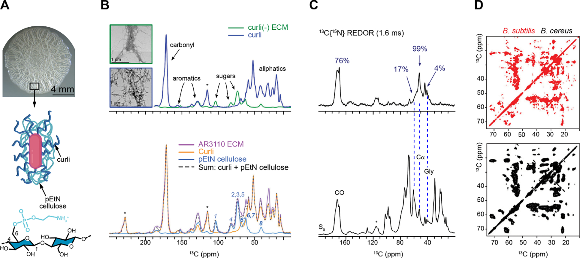 Figure 23.