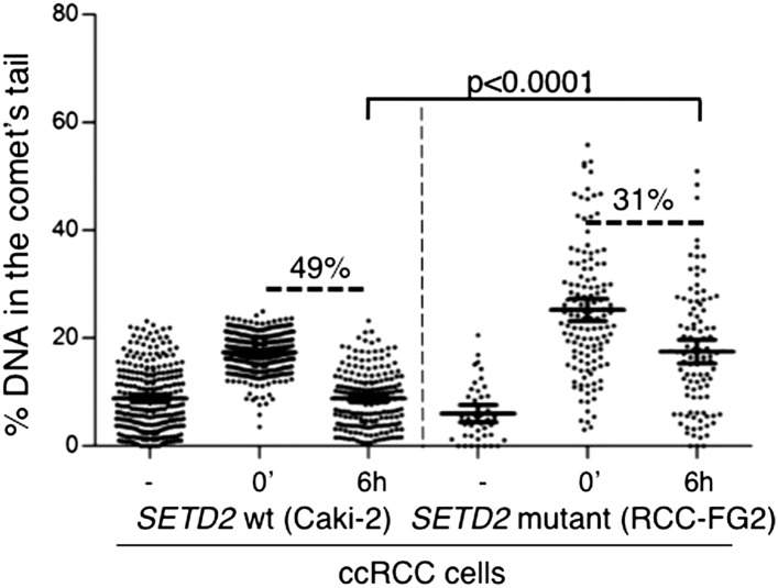 Figure 7—figure supplement 1.