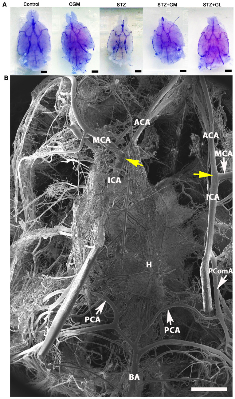 Figure 6