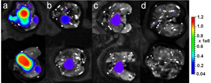 Fig. 8