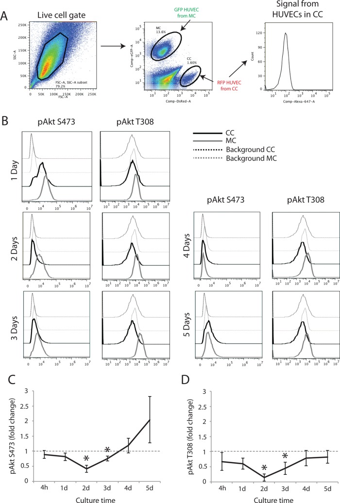 FIGURE 3: