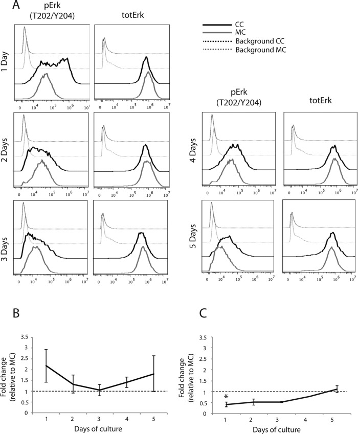 FIGURE 6: