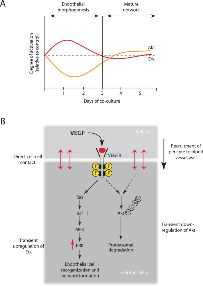 FIGURE 9: