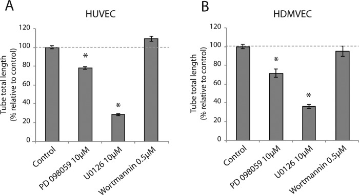 FIGURE 5: